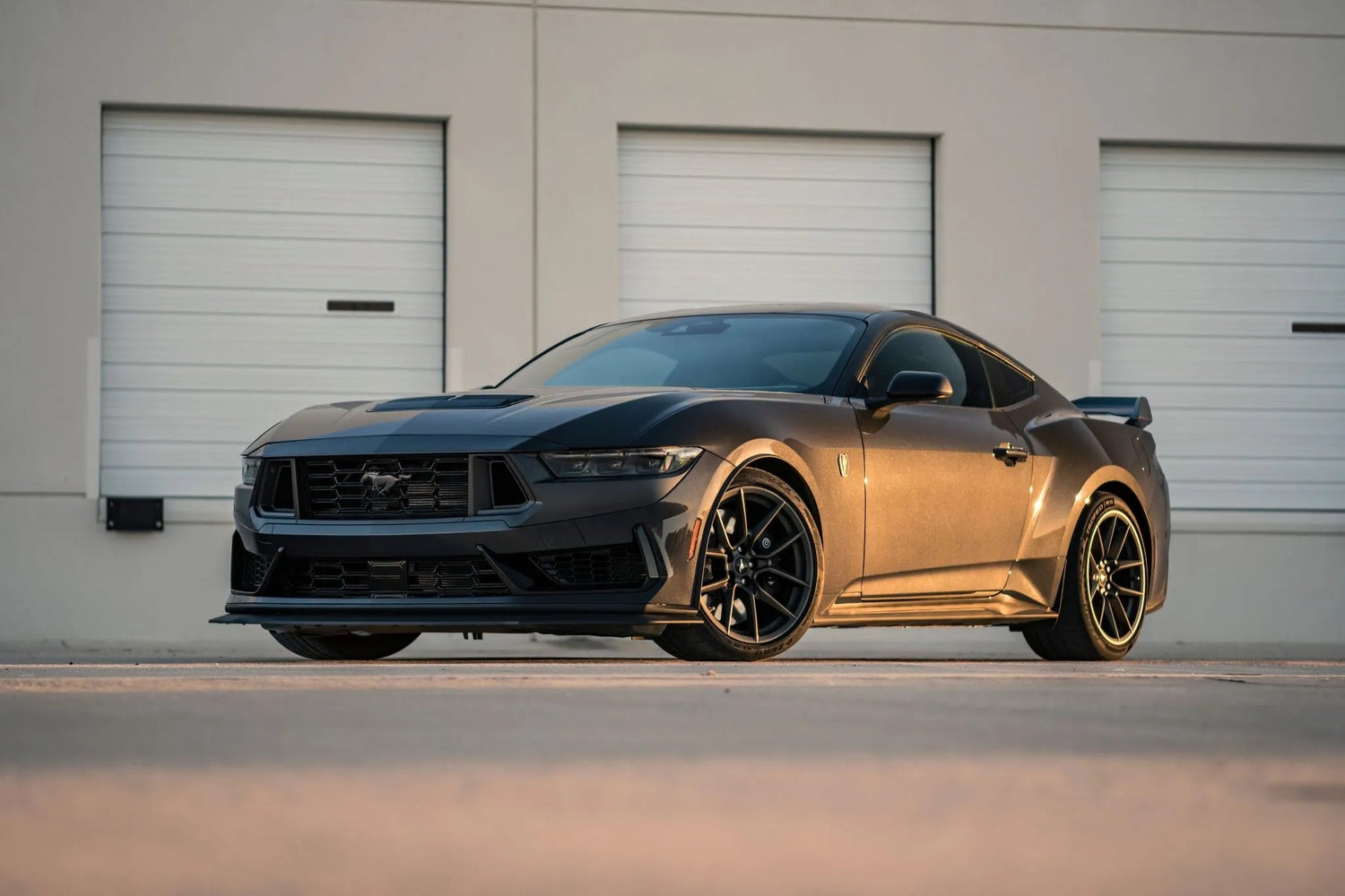 Mustang Dark Horse ('24+)
